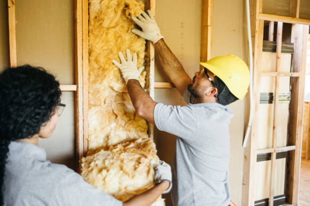 Best Insulation Contractors for Homes  in Camilla, GA