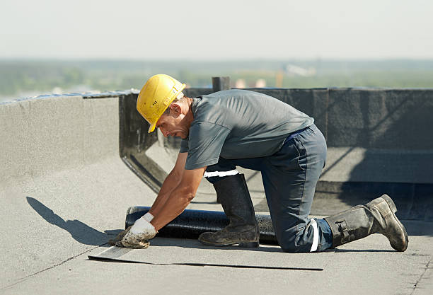 Best Insulation Contractor Near Me  in Camilla, GA